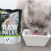 VET EXPERT Raw Paleo Adult Cat Dziczyzna - mokra karma dla kota - 100g - Galeria zdjęcie 2