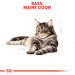Royal Canin FBN Maine Coon Adult - mokra karma dla dorosłego kota - 12x85 g - Galeria zdjęcie 4