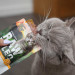 VETEXPERT Raw Paleo Adult Cat Sterilised Indyk - mokra karma dla kota - 100g - Galeria zdjęcie 2