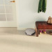 Robot sprzątający iRobot Roomba Combo Essential - Galeria zdjęcie 7