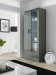 Witryna SOHO S6 2D2S szary/ szary połysk - Galeria zdjęcie 1