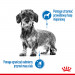 Royal Canin CCN MINI LIGHT WEIGHT CARE - sucha karma dla psa dorosłego - 3kg - Galeria zdjęcie 4