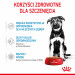 ROYAL CANIN SHN Maxi Puppy w sosie - mokra karma dla szczeniąt - 10x140 g - Galeria zdjęcie 10