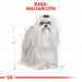 ROYAL CANIN BHN Maltese Adult - sucha karma dla psa dorosłego - 500 g - Galeria zdjęcie 3
