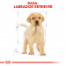 ROYAL CANIN BHN Labrador Puppy - sucha karma dla szczeniąt - 12kg - Galeria zdjęcie 4