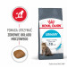 ROYAL CANIN FCN Urinary Care - sucha karma dla kota dorosłego - 4kg - Galeria zdjęcie 12