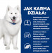 Hill's Prescription Diet K/D Kidney + Mobility - sucha karma dla psa - 4 kg - Galeria zdjęcie 5