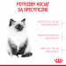ROYAL CANIN FHN Kitten - sucha karma dla kociąt - 4kg - Galeria zdjęcie 6