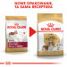 ROYAL CANIN BHN Cavalier King Charles Spaniel Adult - sucha karma dla psa dorosłego - 1,5kg - Galeria zdjęcie 8