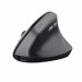 Mysz TRUST BAYO II ERGONOMIC WIRELESS MOUSE BLK (25145) - Galeria zdjęcie 1