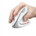 Mysz TRUST Verto Wireless vertical ergonomic White (25132) - Galeria zdjęcie 6