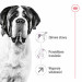 ROYAL CANIN SHN Giant Adult - sucha karma dla psa dorosłego - 15 kg - Galeria zdjęcie 3