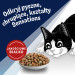 PURINA Felix Countryside Sensations Wołowina i kurczak z warzywami - sucha karma dla kota - 1kg - Galeria zdjęcie 3