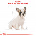 ROYAL CANIN BHN French Bulldog Puppy - sucha karma dla szczeniąt - 3 kg - Galeria zdjęcie 3