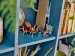 LEGO Harry Potter 76434 Aragog w Zakazanym Lesie - Galeria zdjęcie 9