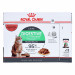 ROYAL CANIN FHN Digest Sensitive w sosie - mokra karma dla kota dorosłego - 12x85g - Galeria zdjęcie 2