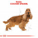 ROYAL CANIN BHN Cocker Adult - sucha karma dla psa dorosłego - 12 kg - Galeria zdjęcie 3