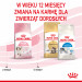 ROYAL CANIN Kitten 36 - sucha karma dla kota - 2 kg - Galeria zdjęcie 11