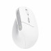 Mysz Trust BAYO II ERGONOMIC WIRELESS White (25398) - Galeria zdjęcie 2