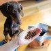 PERRO Wołowina z batatami Małe rasy - sucha karma dla psa - 1kg - Galeria zdjęcie 3