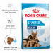 ROYAL CANIN SHN Maxi Starter Mother & Babydog - sucha karma dla psa - 4 kg - Galeria zdjęcie 3