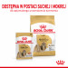 ROYAL CANIN BHN Shih Tzu Adult w formie pasztetu - mokra karma dla psa dorosłego - 12x85 g - Galeria zdjęcie 5