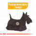 ROYAL CANIN CCN Dermacomfort Mini - sucha karma dla psów ras małych z wrażliwą skórą - 3 kg - Galeria zdjęcie 3