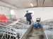 NILFISK Myjka ciśnieniow/bęben MC 5M-220/1130XT-EU - Galeria zdjęcie 5