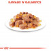 ROYAL CANIN FHN Instinctive w galaretce - mokra karma dla kota dorosłego - 12x85 g - Galeria zdjęcie 8