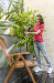 Myjka ciśnieniowa KARCHER K 2 Classic - 1.673-570.0 - Galeria zdjęcie 7