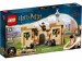 LEGO Harry Potter 76395 Hogwart: Pierwsza lekcja latania - Galeria zdjęcie 1