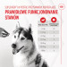 ROYAL CANIN Supplements Dog Joint & Ageing Adult - suplementy dla psa - 240g - Galeria zdjęcie 2