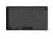 AG NEOVO MONITOR 43 QM-4302 4K UHD 3840X2160 HDMIX2 D-SUB USBX2.0 GŁOŚNIK - Galeria zdjęcie 9