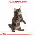 ROYAL CANIN FBN Maine Coon Kitten - sucha karma dla kociąt - 2 kg - Galeria zdjęcie 5