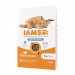 IAMS Advanced Nutrition Light/Sterilised - sucha karma dla kota ze świeżym kurczakiem - 10 kg - Galeria zdjęcie 2