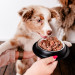 PERRO Gourmet Junior Konina z cukinią - mokra karma dla psa - 400g - Galeria zdjęcie 3