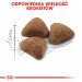 ROYAL CANIN Indoor 27 Adult - sucha karma dla kota - 400g - Galeria zdjęcie 5