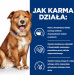 HILL'S Prescription Diet Derm Complete - mokra karma dla psa - 370 g - Galeria zdjęcie 4