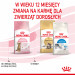 ROYAL CANIN Kitten Sterilised - sucha karma dla kociąt - 3,5 kg - Galeria zdjęcie 11