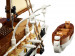 LEGO ICONS 10335 Endurance - Galeria zdjęcie 10