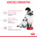 ROYAL CANIN Mother & Babycat 34 2kg - Galeria zdjęcie 4