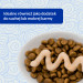 Przysmak Inaba CHURU Kurczak SKIN&COAT dla kota 4x14g - Galeria zdjęcie 4