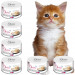 CHERIE Kitten Mus z kurczaka - mokra karma dla kota - 6x80g - Galeria zdjęcie 1