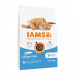 IAMS Advanced Nutrition Cat Adult Ryba Oceaniczna - sucha karma dla kota - 10 kg - Galeria zdjęcie 1