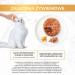 Gourmet Gold Savoury Cake kurczak i marchewka - mokra karma dla kota - 85 g - Galeria zdjęcie 6