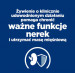 Hill's Prescription Diet K/D Kidney + Mobility - sucha karma dla psa - 4 kg - Galeria zdjęcie 6