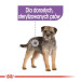 ROYAL CANIN CCN Sterilised Loaf - mokra karma dla psa dorosłego - 12x85 g - Galeria zdjęcie 5