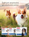 BEAPHAR VERMIcon Line-on Dog L - krople przeciw pasożytom dla psa - 3x4,5 ml - Galeria zdjęcie 11