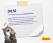 JOSERA DailyCat - sucha karma dla kota - 10kg - Galeria zdjęcie 3