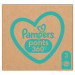 PAMPERS Pieluchomajtki Pants 3 204 szt - Galeria zdjęcie 8